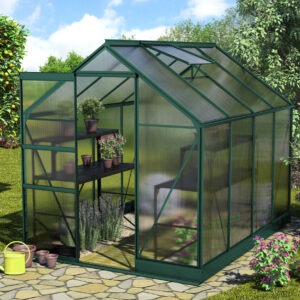 vitavia Apollo 5000 kweekkas kopen